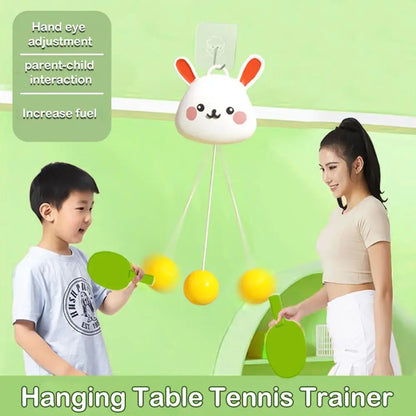 Portable Indoor Table Tennis Set